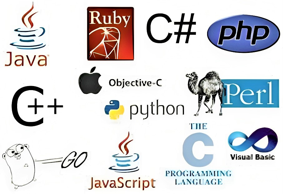 The top 7 programming languages